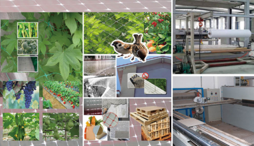 Daily maintenance of biaxial stretch mesh production line equipment: key areas to focus on